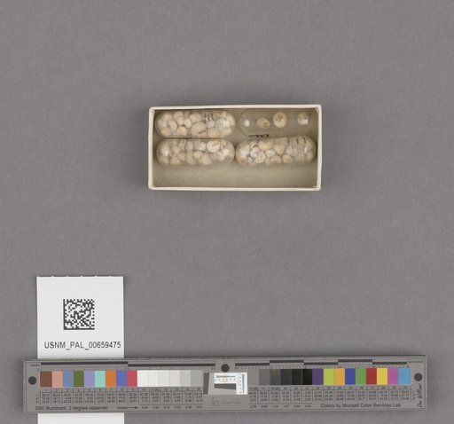 NSF ADBC EPICC TCN