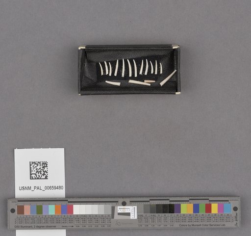 NSF ADBC EPICC TCN