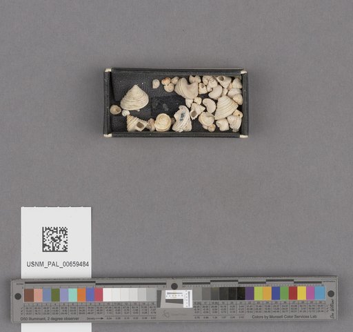NSF ADBC EPICC TCN