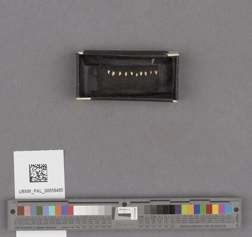 NSF ADBC EPICC TCN