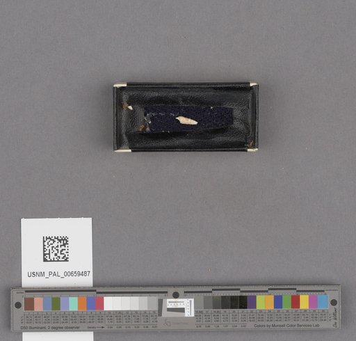 NSF ADBC EPICC TCN