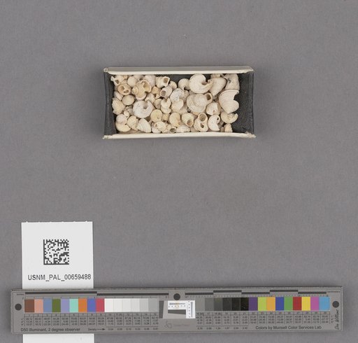 NSF ADBC EPICC TCN