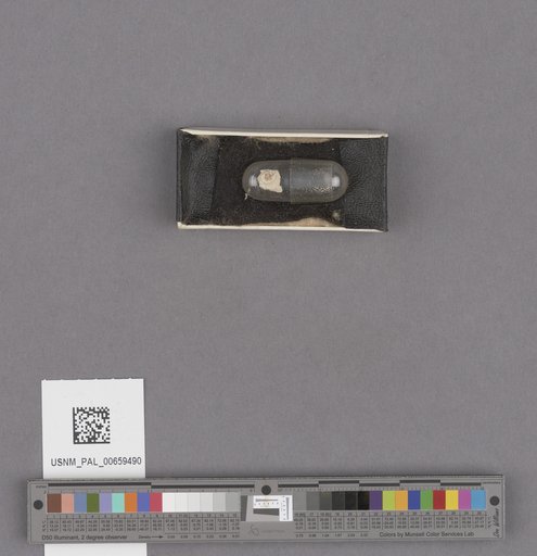 NSF ADBC EPICC TCN