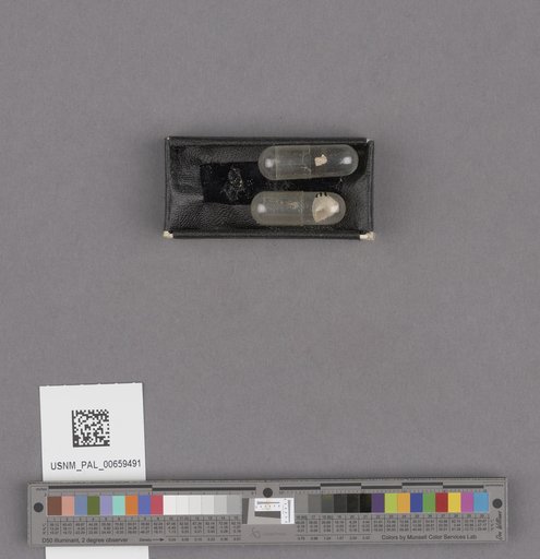 NSF ADBC EPICC TCN