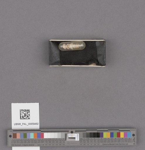 NSF ADBC EPICC TCN