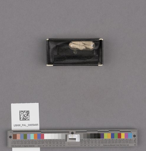 NSF ADBC EPICC TCN