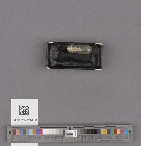 NSF ADBC EPICC TCN