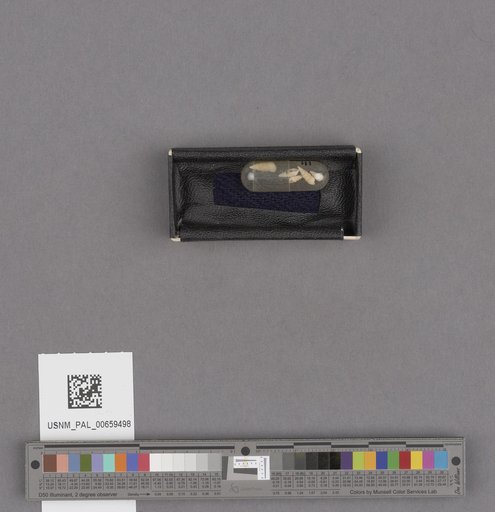 NSF ADBC EPICC TCN