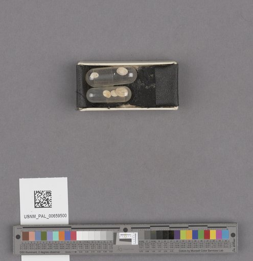 NSF ADBC EPICC TCN