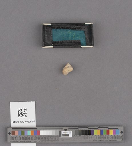 NSF ADBC EPICC TCN
