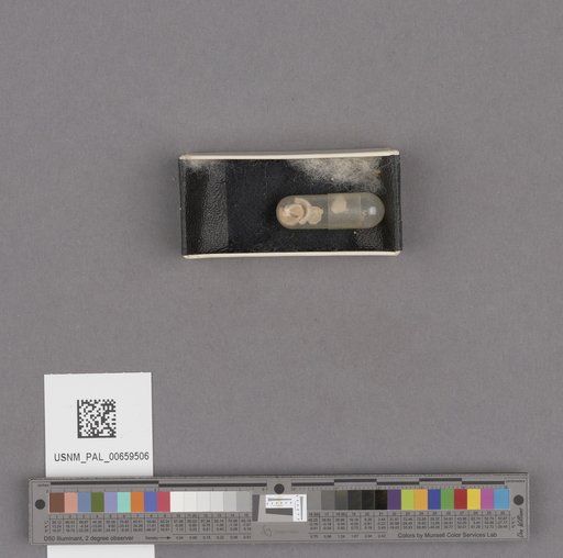 NSF ADBC EPICC TCN