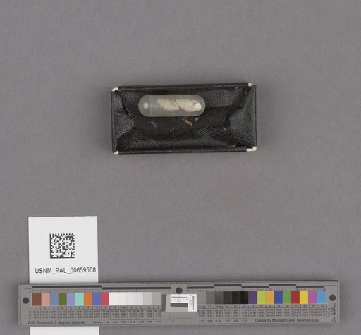 NSF ADBC EPICC TCN