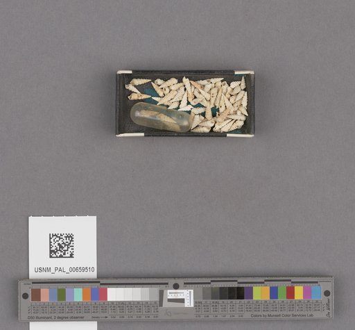 NSF ADBC EPICC TCN