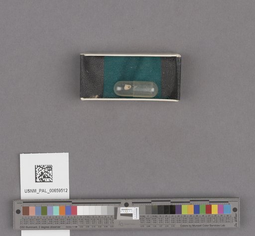 NSF ADBC EPICC TCN