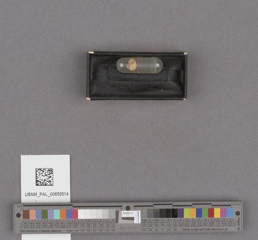 NSF ADBC EPICC TCN