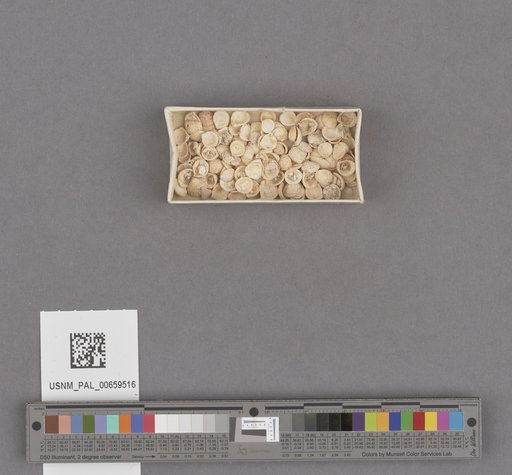 NSF ADBC EPICC TCN