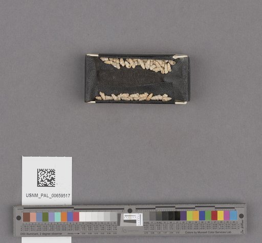 NSF ADBC EPICC TCN