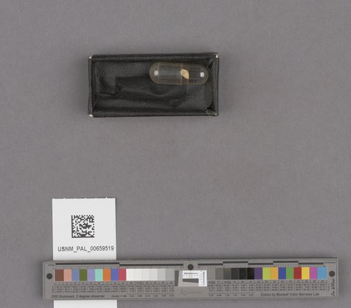 NSF ADBC EPICC TCN