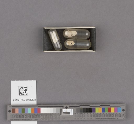 NSF ADBC EPICC TCN