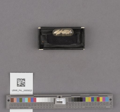 NSF ADBC EPICC TCN