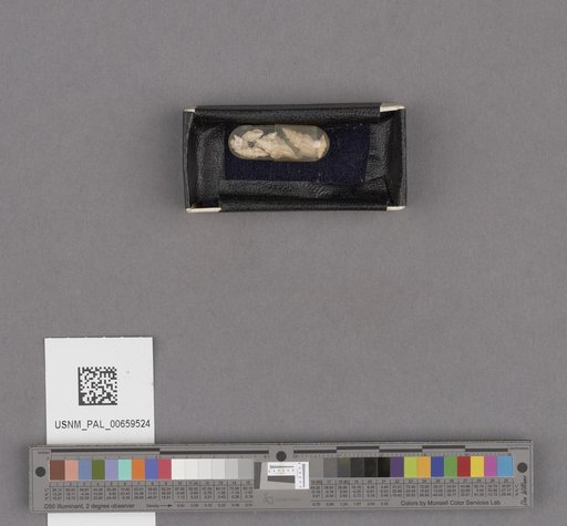 NSF ADBC EPICC TCN
