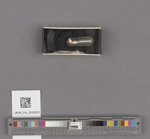 NSF ADBC EPICC TCN