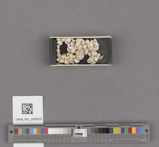 NSF ADBC EPICC TCN