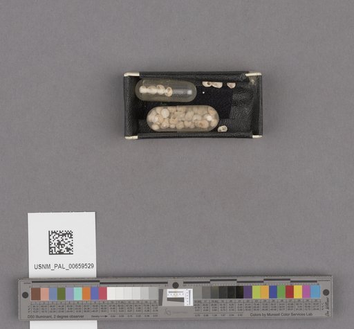 NSF ADBC EPICC TCN