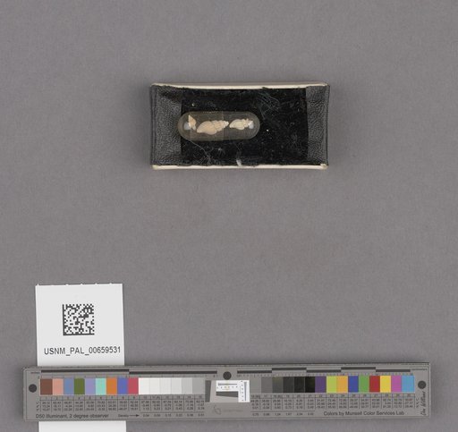 NSF ADBC EPICC TCN