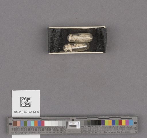 NSF ADBC EPICC TCN