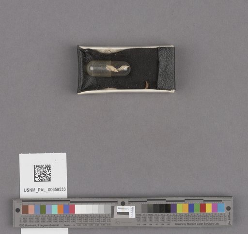 NSF ADBC EPICC TCN