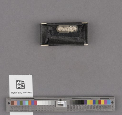 NSF ADBC EPICC TCN