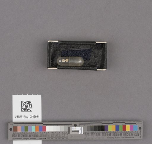NSF ADBC EPICC TCN