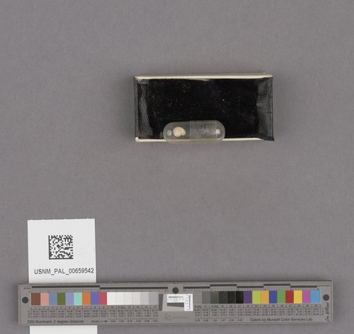 NSF ADBC EPICC TCN