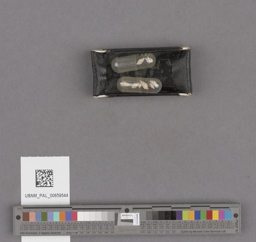 NSF ADBC EPICC TCN