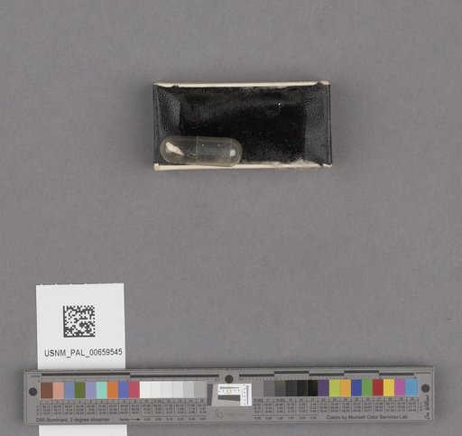 NSF ADBC EPICC TCN