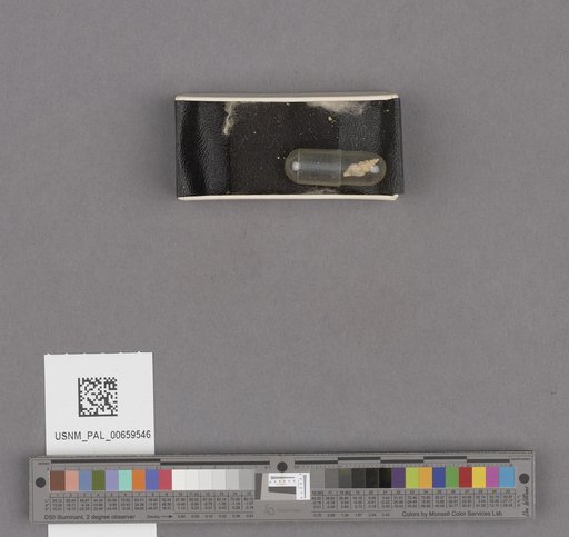 NSF ADBC EPICC TCN