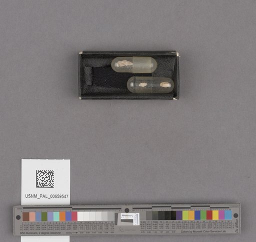 NSF ADBC EPICC TCN