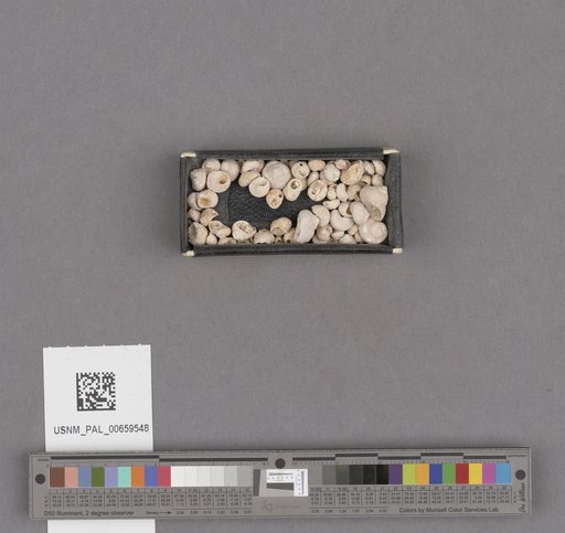 NSF ADBC EPICC TCN