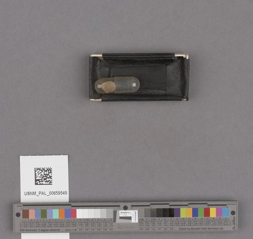 NSF ADBC EPICC TCN