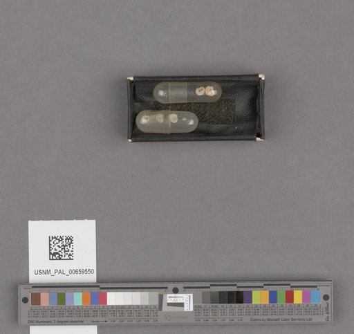 NSF ADBC EPICC TCN