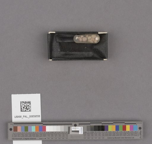 NSF ADBC EPICC TCN