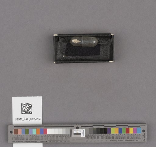 NSF ADBC EPICC TCN