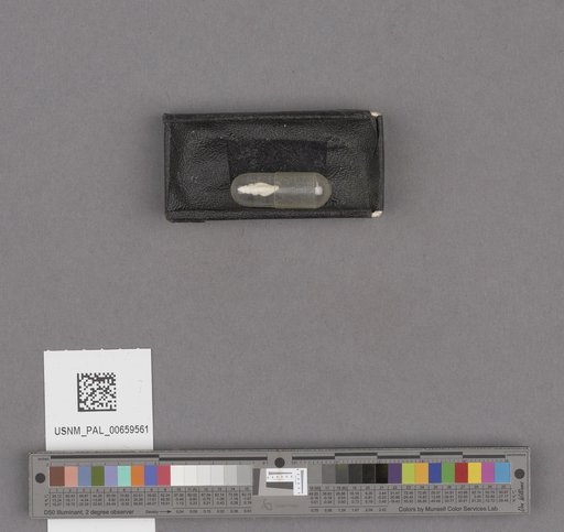 NSF ADBC EPICC TCN