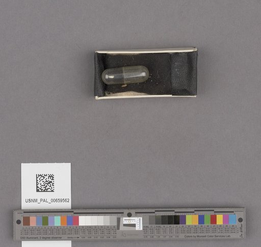 NSF ADBC EPICC TCN
