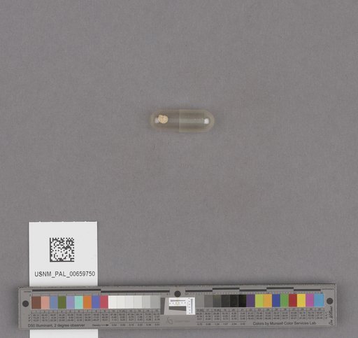 NSF ADBC EPICC TCN