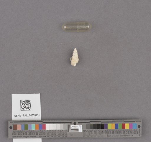 NSF ADBC EPICC TCN