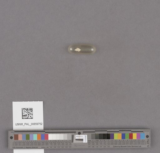 NSF ADBC EPICC TCN