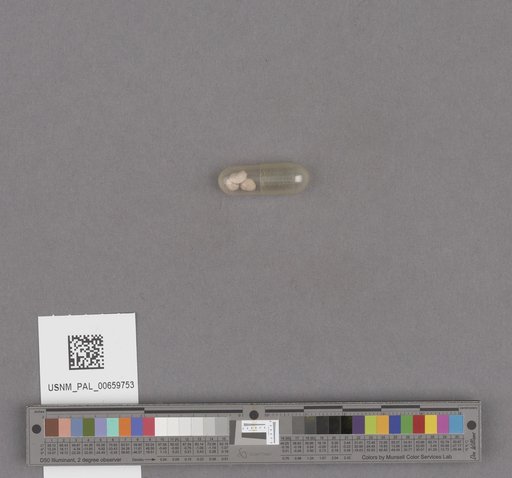 NSF ADBC EPICC TCN