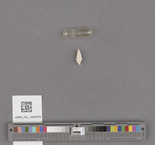 NSF ADBC EPICC TCN
